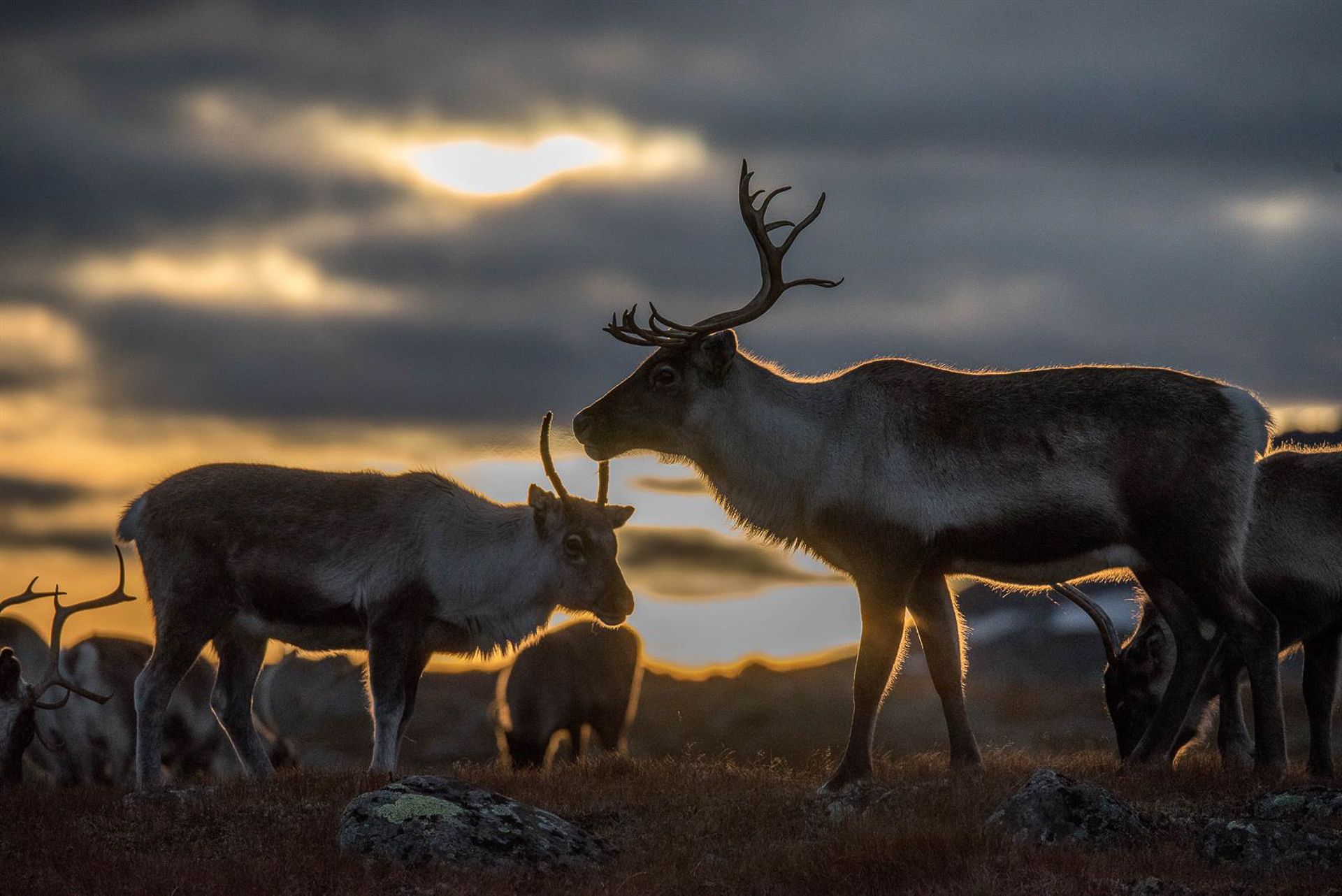 Foto Isak S. Siversten