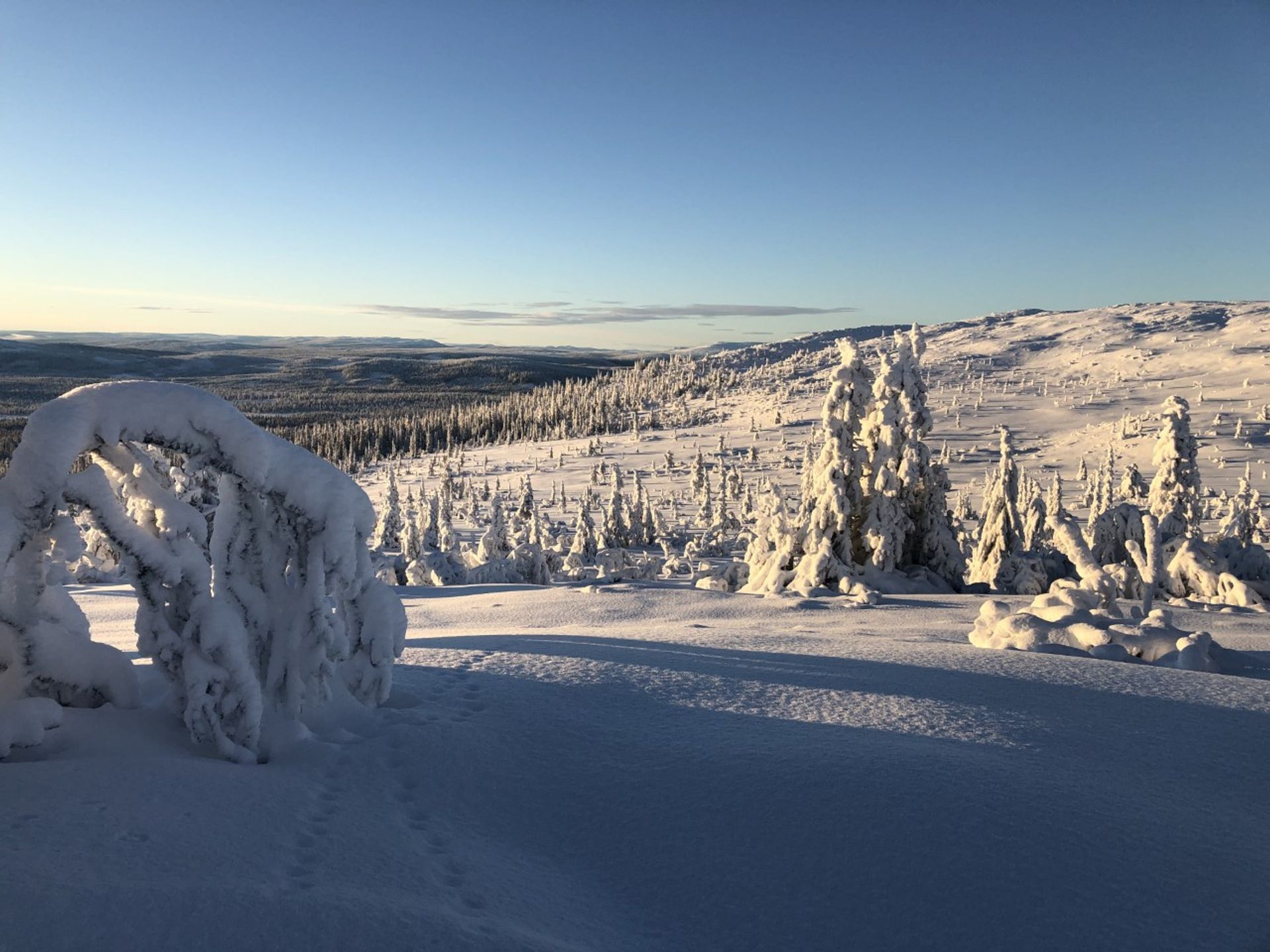 Sjekkpunkt Flendalen/Trysil